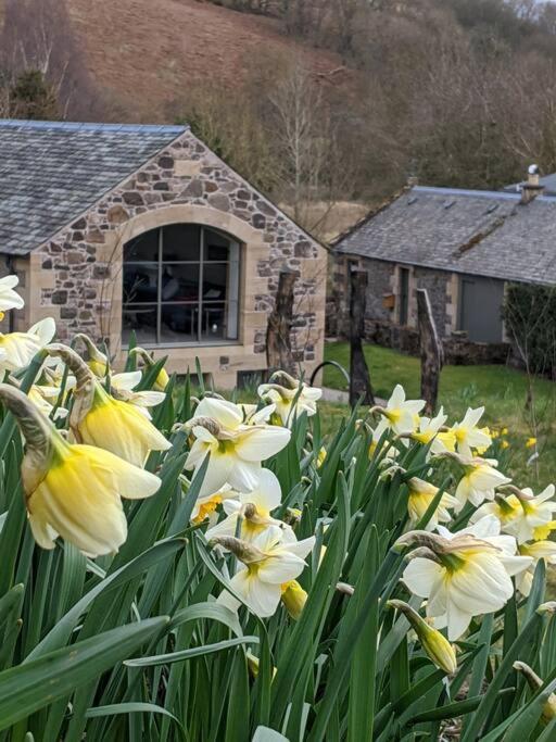 Woodmill Arches - Designer Barn Conversion For Two Apartment Lindores Bagian luar foto